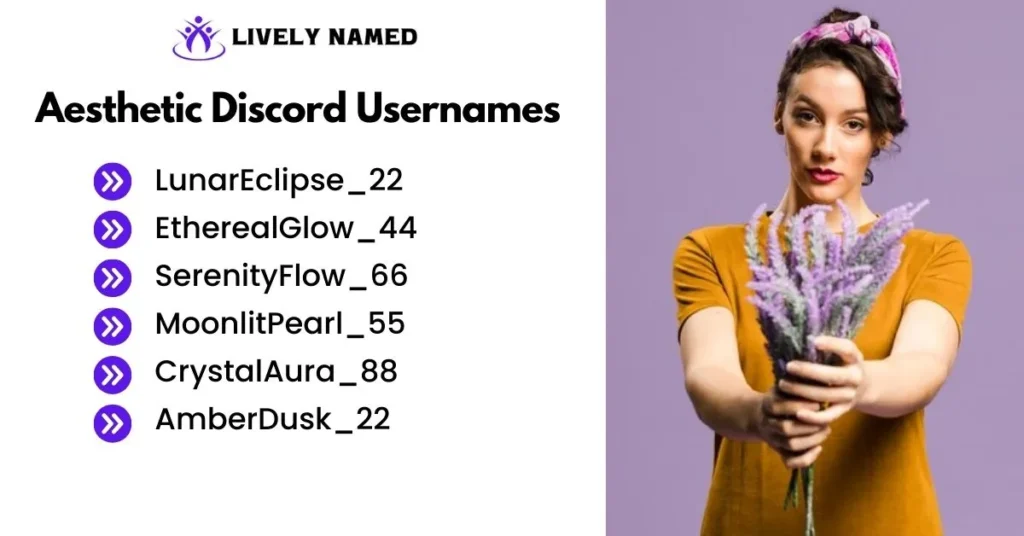 Aesthetic Discord Usernames