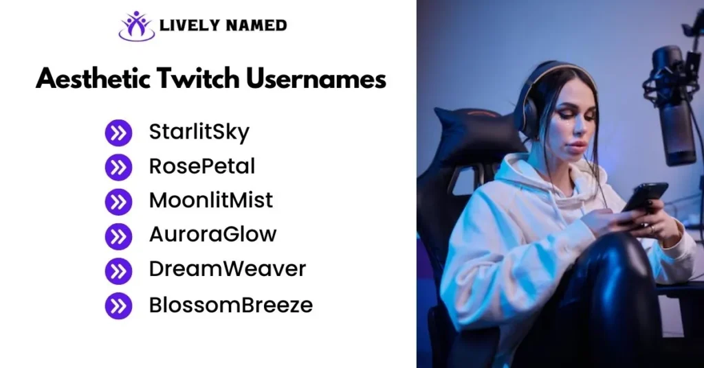 Aesthetic Twitch Usernames