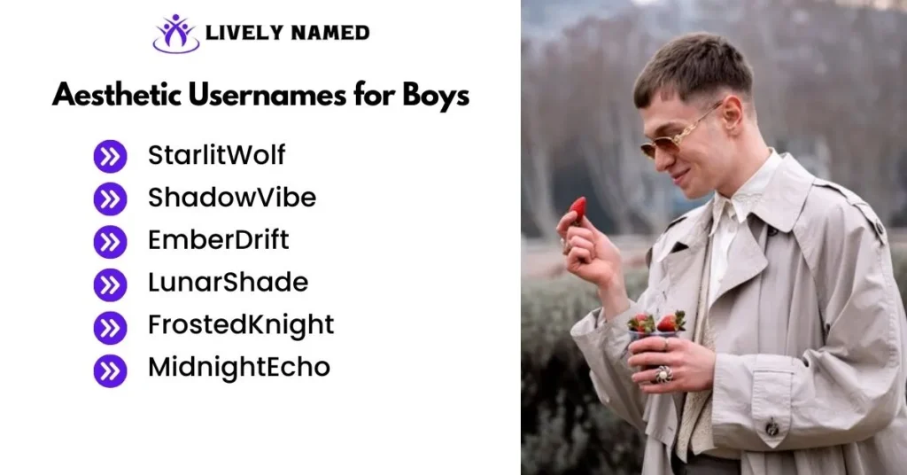 Aesthetic Usernames for Boys