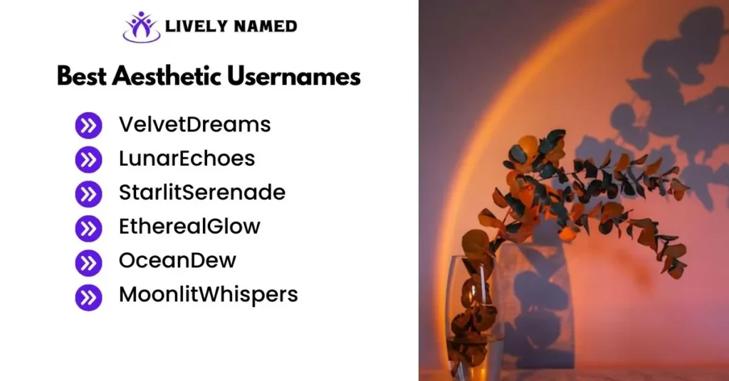 Best Aesthetic Usernames