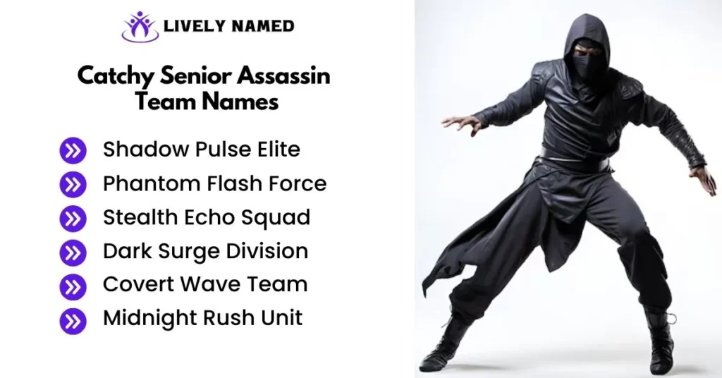 Catchy Senior Assassin Team Names