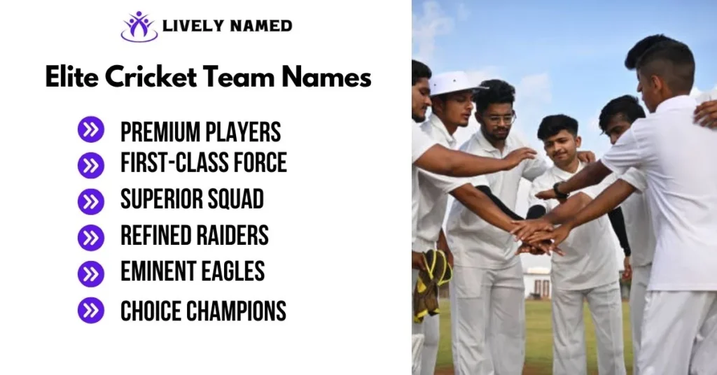 Elite Cricket Team Names