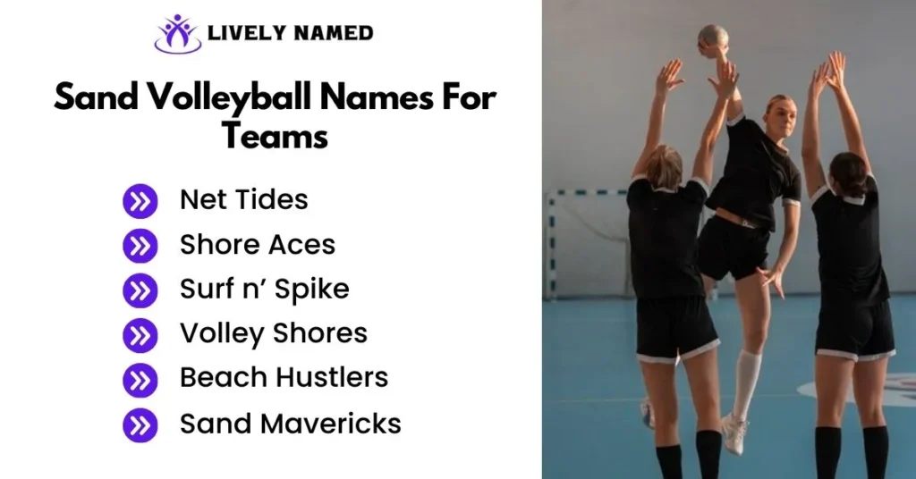 Sand Volleyball Names For Teams