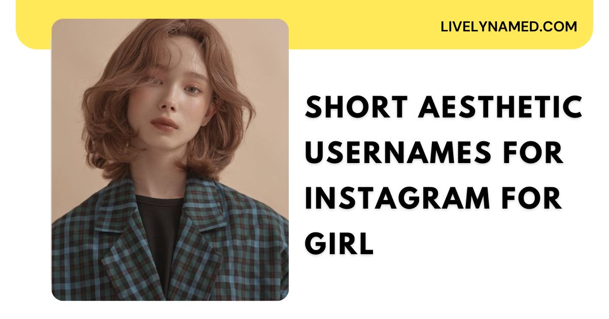 Short Aesthetic Usernames for Instagram for Girl