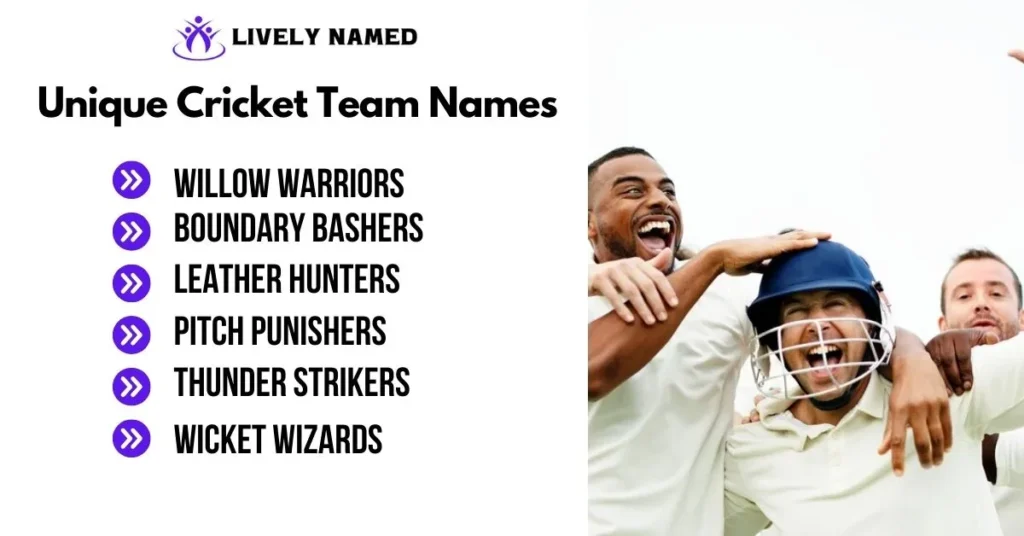 Unique Cricket Team Names