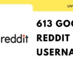 613 Good Reddit Usernames For Geeks, Gamers, and Memelords