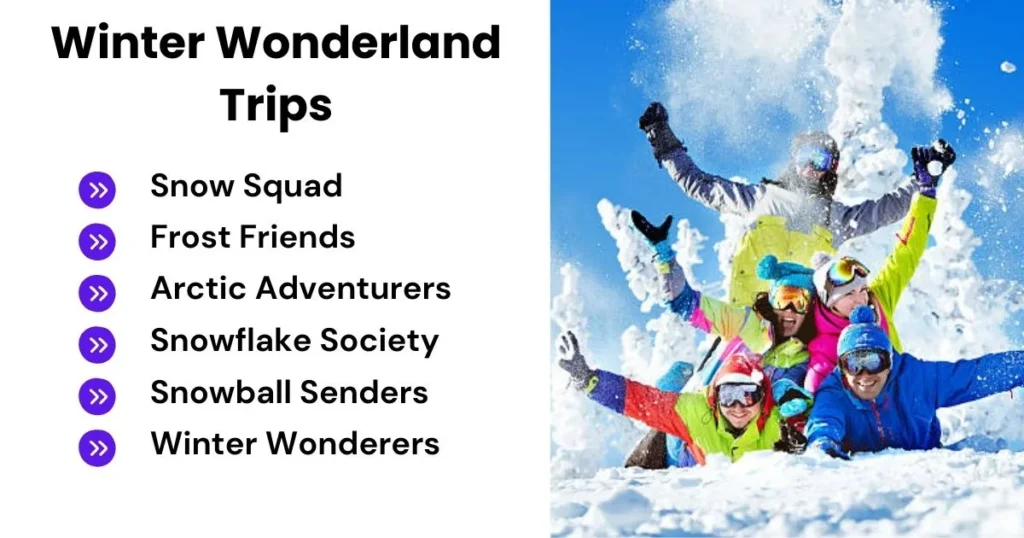 Winter Wonderland Trips